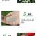 瑞盈大果毛粉番茄种子俄罗斯基地粉果生吃铁皮西红柿蔬菜