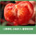 瑞盈大果毛粉番茄种子俄罗斯基地粉果生吃铁皮西红柿蔬菜