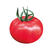 瑞特粉娜毛粉番茄种子西红柿苗秧种籽沙瓤四季蔬菜番茄苗