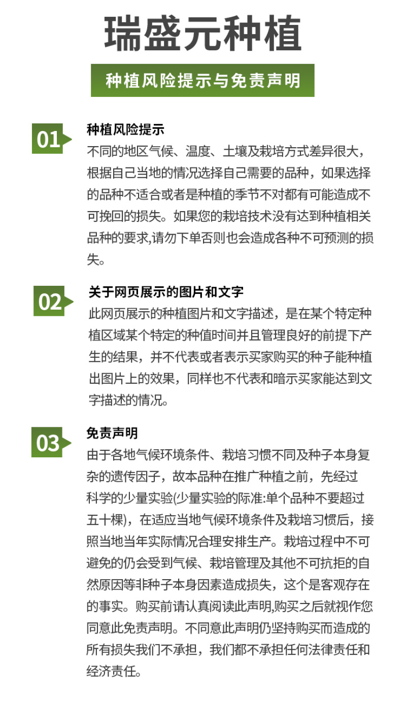 瑞特粉娜毛粉番茄种子西红柿苗秧种籽沙瓤四季蔬菜番茄苗