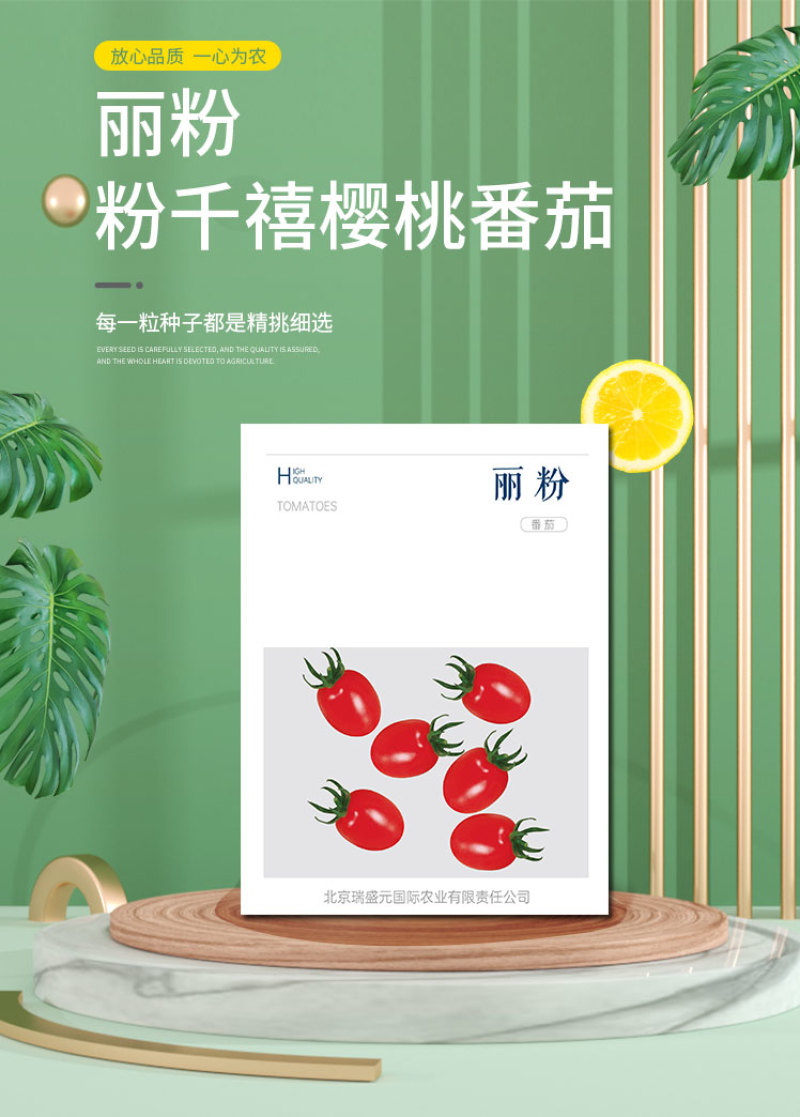 丽粉千禧珍珠番茄种子西红柿苗秧四季春秋盆栽阳台高产小圣女