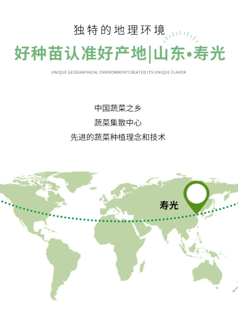 丽粉千禧珍珠番茄种子西红柿苗秧四季春秋盆栽阳台高产小圣女