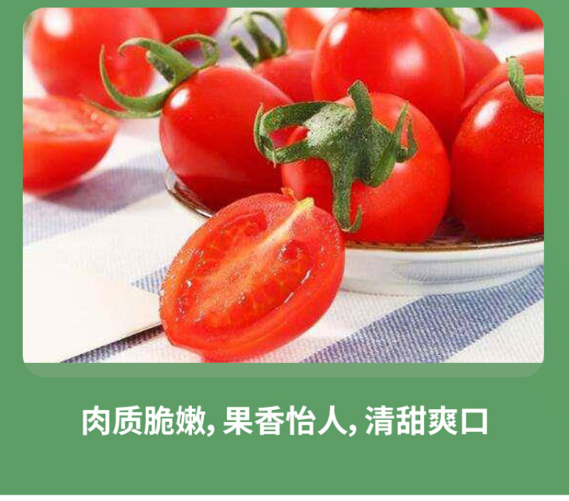 丽粉千禧珍珠番茄种子西红柿苗秧四季春秋盆栽阳台高产小圣女