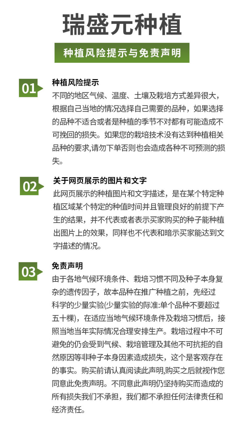 丽粉千禧珍珠番茄种子西红柿苗秧四季春秋盆栽阳台高产小圣女