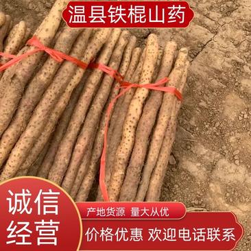 温县垆土铁棍山药一手货源品质保证产地发货
