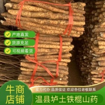 铁棍山药，焦作铁棍山药，一手货源，这量好，价格优，规格多