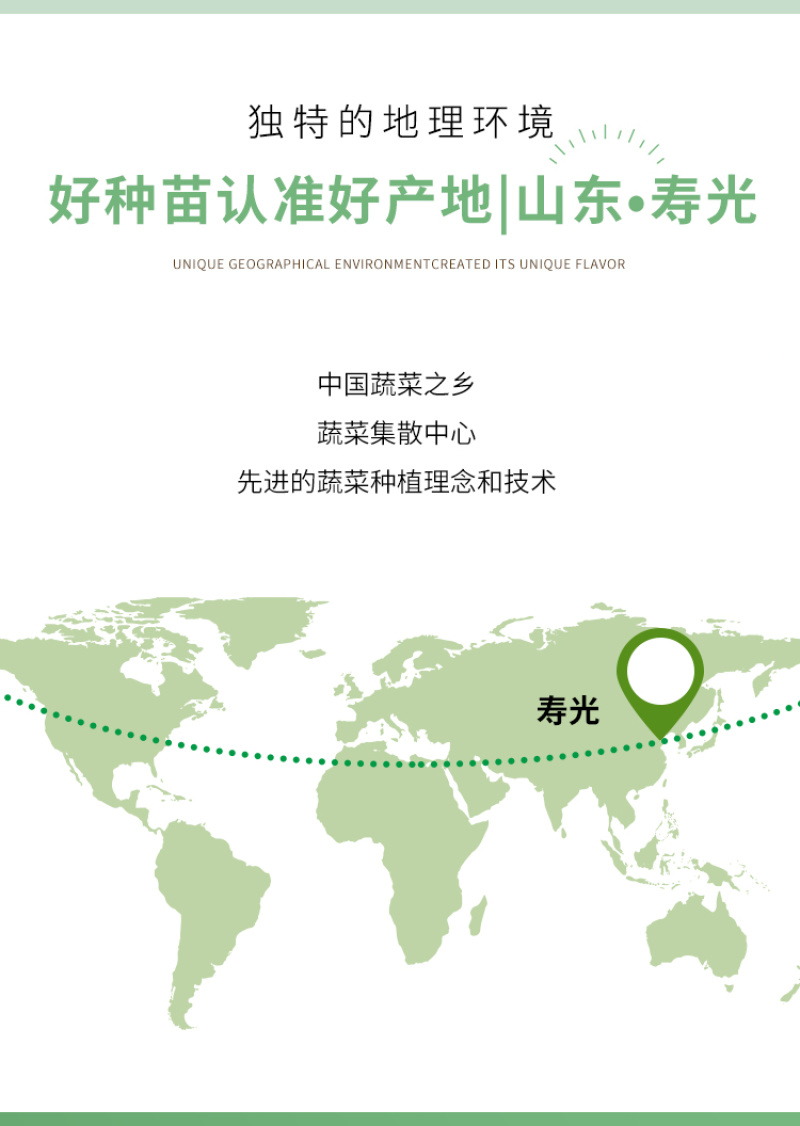 威尔特太空椒种子超大甜辣椒种籽高产甜椒苗蔬菜籽蔬菜秧苗种