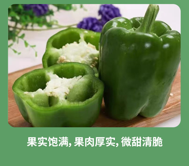 威尔特太空椒种子超大甜辣椒种籽高产甜椒苗蔬菜籽蔬菜秧苗种