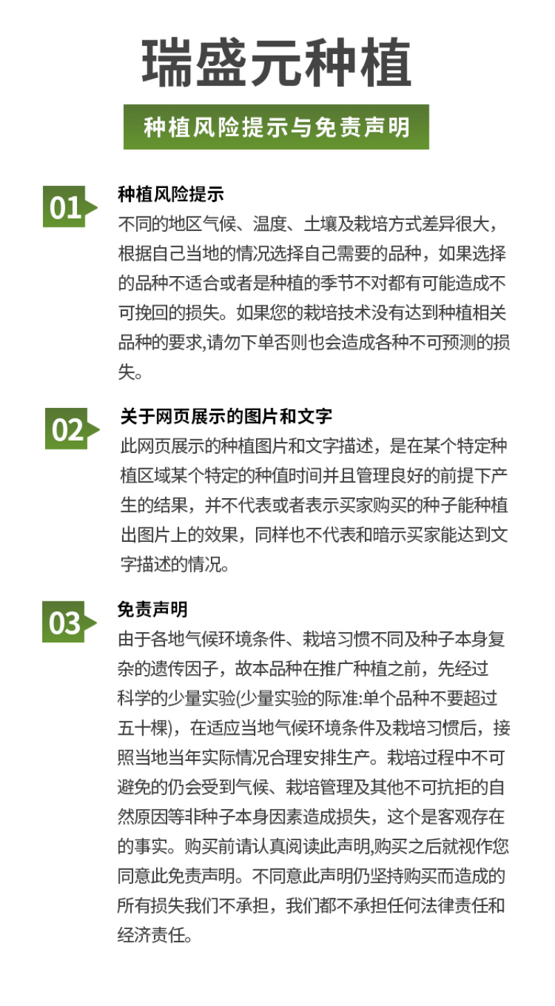 威尔特太空椒种子超大甜辣椒种籽高产甜椒苗蔬菜籽蔬菜秧苗种
