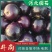河北紫光圆茄新鲜上市价格美丽质量好走货快对接全国量大从优