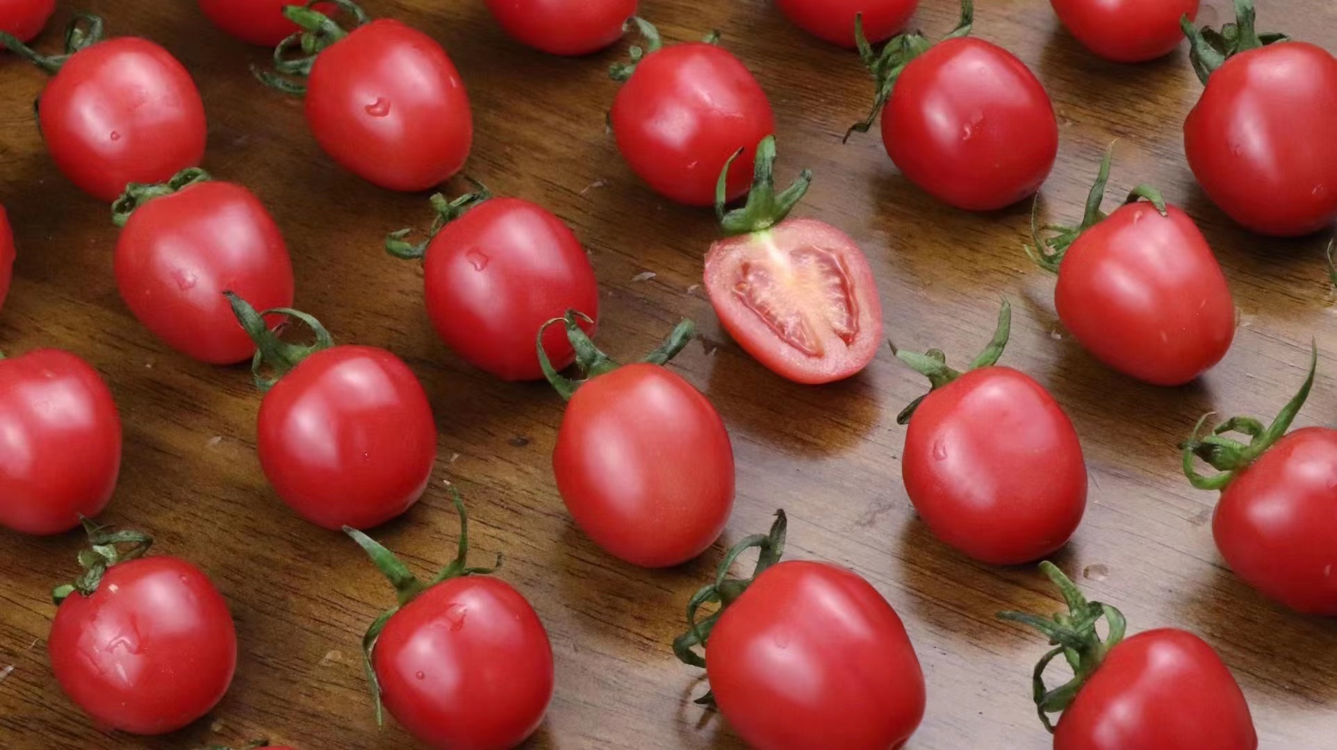 圣女果特写展示