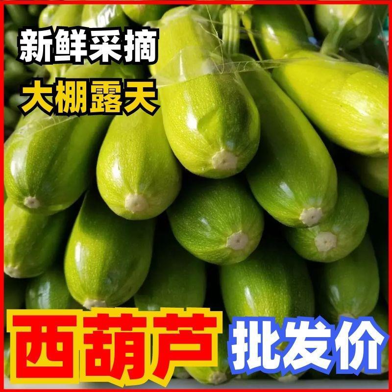 精品绿皮西葫芦，产地直发，货源充足稳定，欢迎选购看货