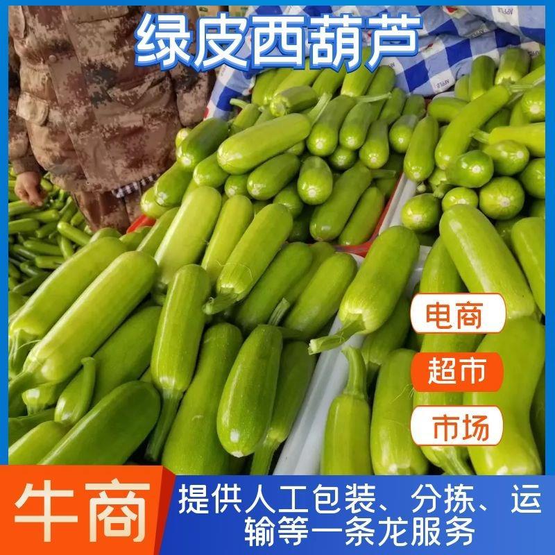精品绿皮西葫芦，立足产地。货源充足稳定，欢迎选购