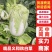 义和秋白菜，砀山基地直供，货源充足，代发全国，欢迎联系！