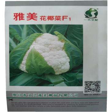 雅美花椰菜种子高产菜花种子春秋青梗松花种子早中熟强抗病