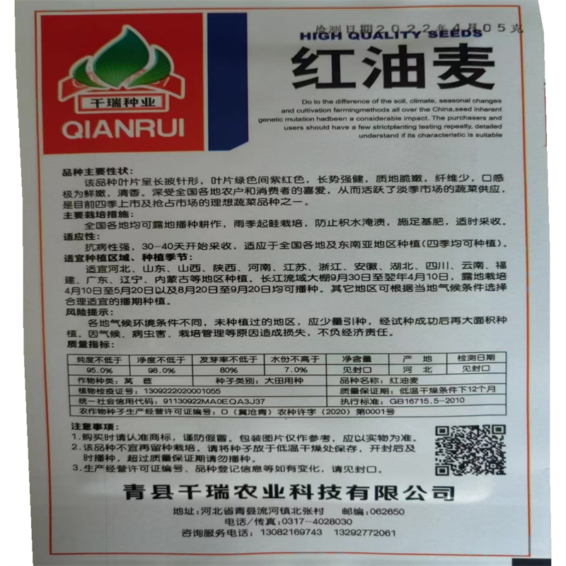 红油麦菜种子甜脆油麦菜种子蔬菜孑春季农家高产纤维少