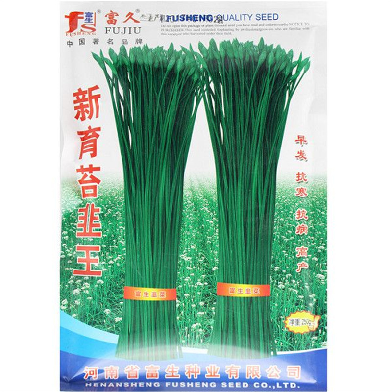 富生新育苔韭王种子韭苔种子韭菜早发耐寒抗病高产叶苔兼用型