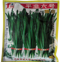 富生平韭六号韭菜种子高产宽叶雪韭菜种子耐寒冬季不休眠