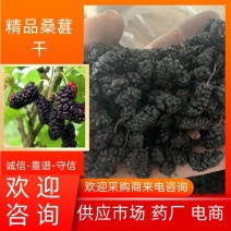 【2022年新货】桑葚干一级药材无碎果可供各大药厂市场