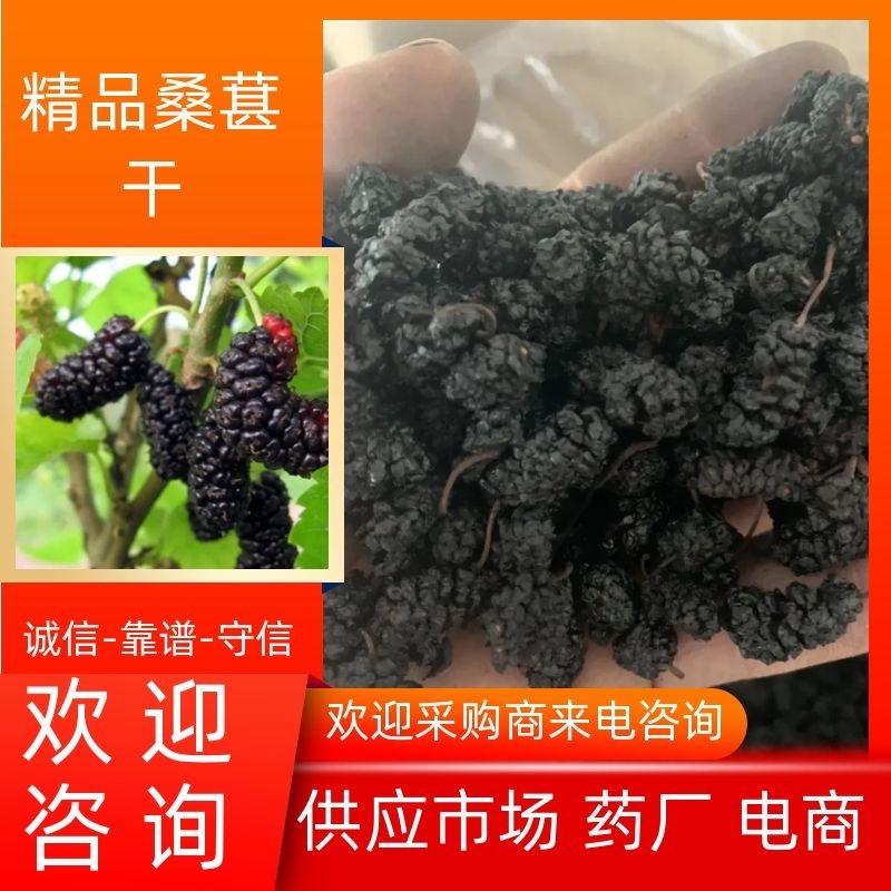 【2022年新货】桑葚干一级药材无碎果可供各大药厂市场