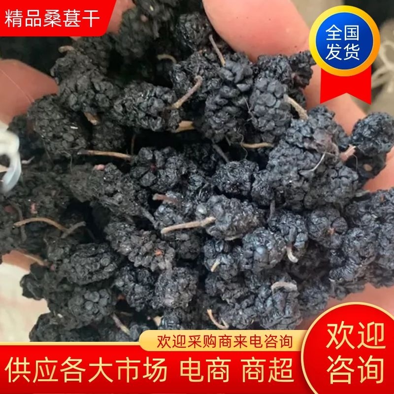 【桑葚干】黑珍珠桑葚干供应各大市场电商商超一件代发