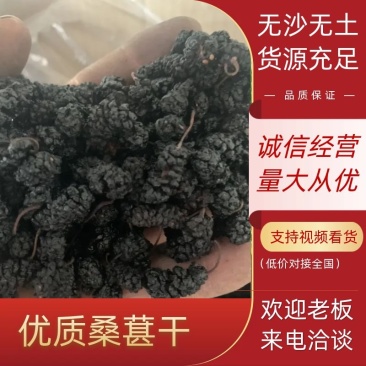 【精品】四川精品桑葚干无沙无土糖分高供应市场电商