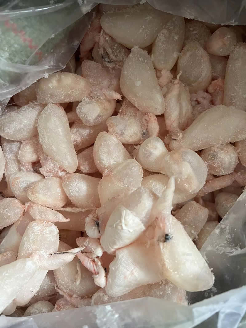 鲜鱼泡/鲜鱼鳔/鱼胶/鲢鱼泡/鲤鱼泡/鱼肚/鱼籽工厂直