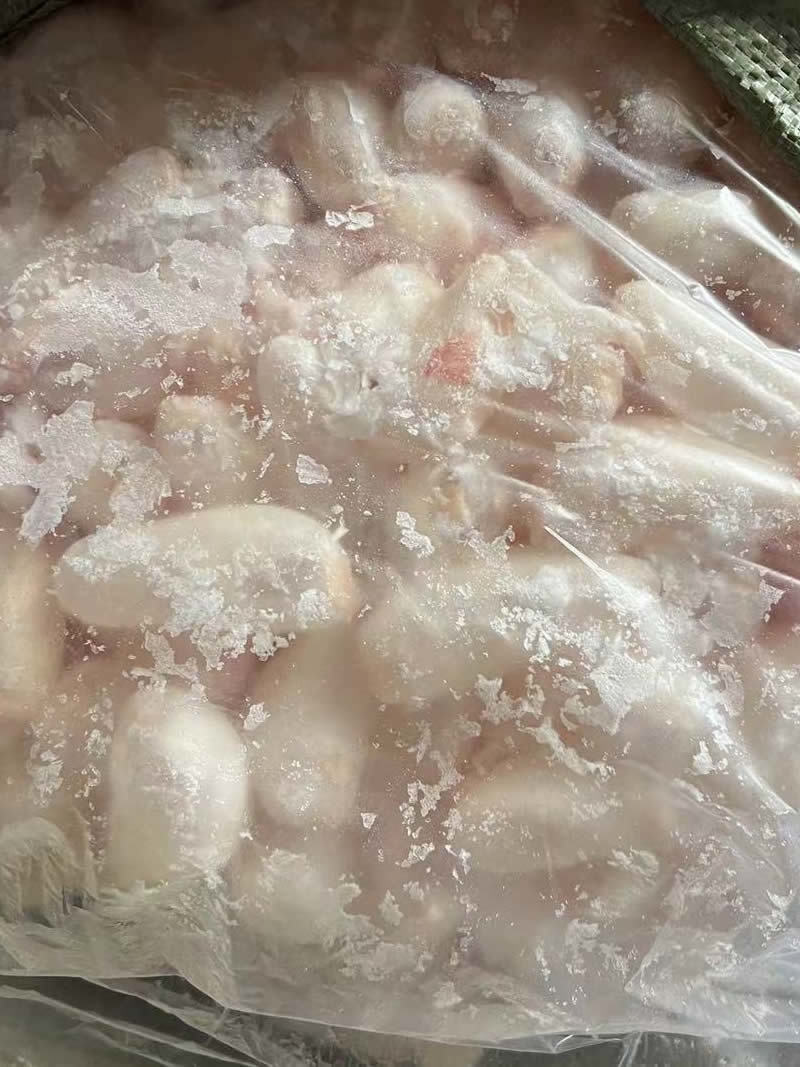 鲜鱼泡/鲜鱼鳔/鱼胶/鲢鱼泡/鲤鱼泡/鱼肚/鱼籽工厂直