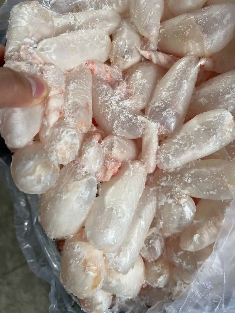 鲜鱼泡/鲜鱼鳔/鱼胶/鲢鱼泡/鲤鱼泡/鱼肚/鱼籽工厂直