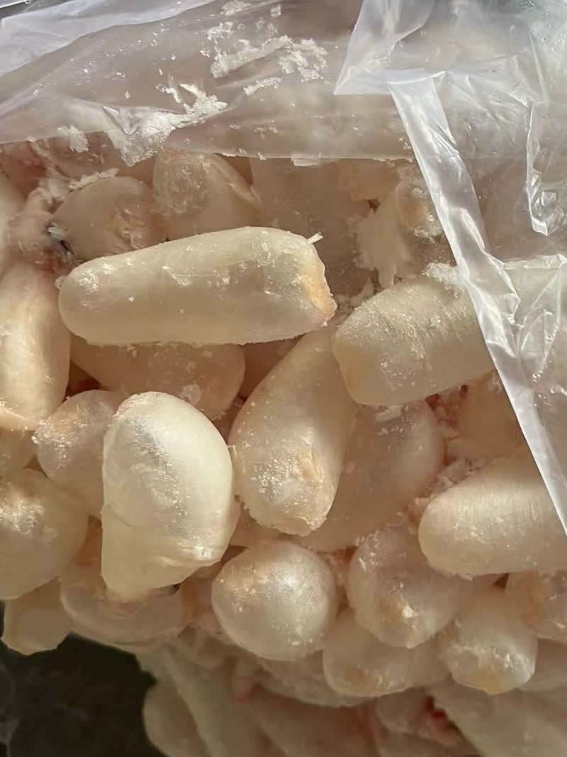 鲜鱼泡/鲜鱼鳔/鱼胶/鲢鱼泡/鲤鱼泡/鱼肚/鱼籽工厂直