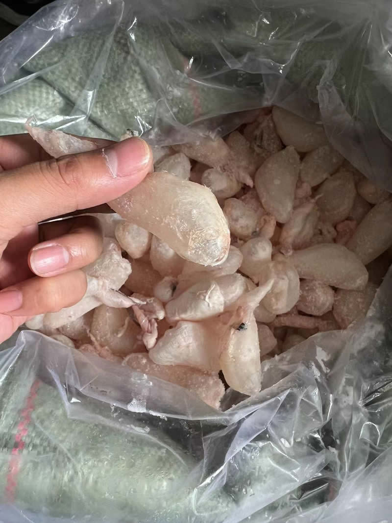 鲜鱼泡/鲜鱼鳔/鱼胶/鲢鱼泡/鲤鱼泡/鱼肚/鱼籽工厂直