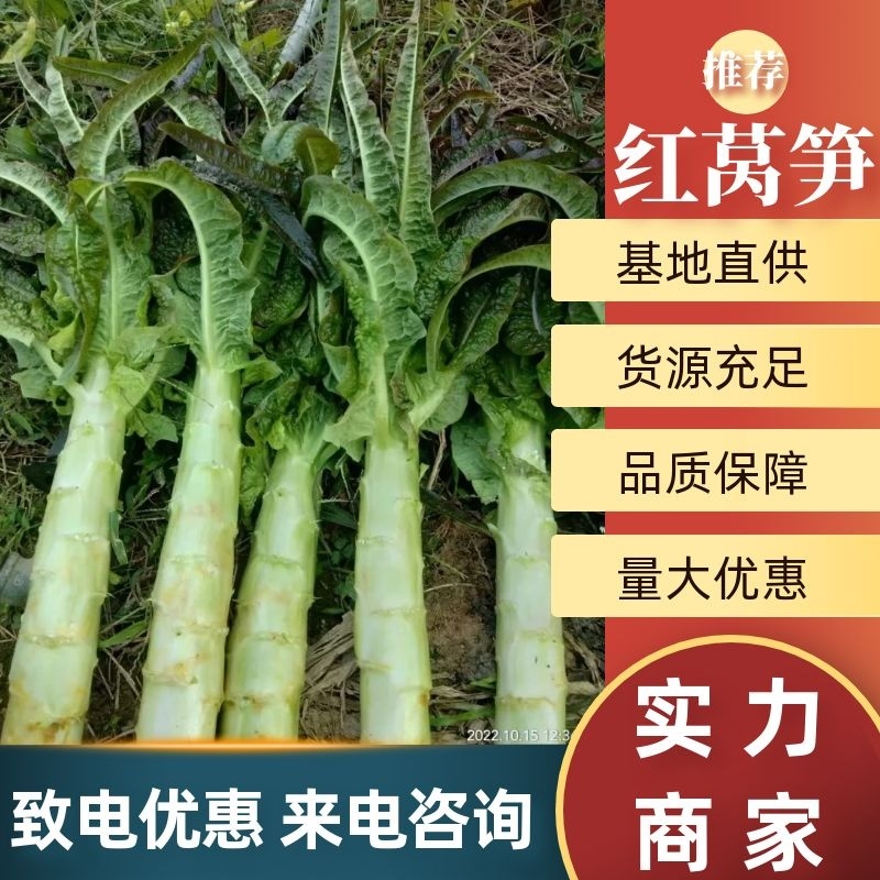 山东临沂红莴笋一手货源品质保障量大优惠来电咨询