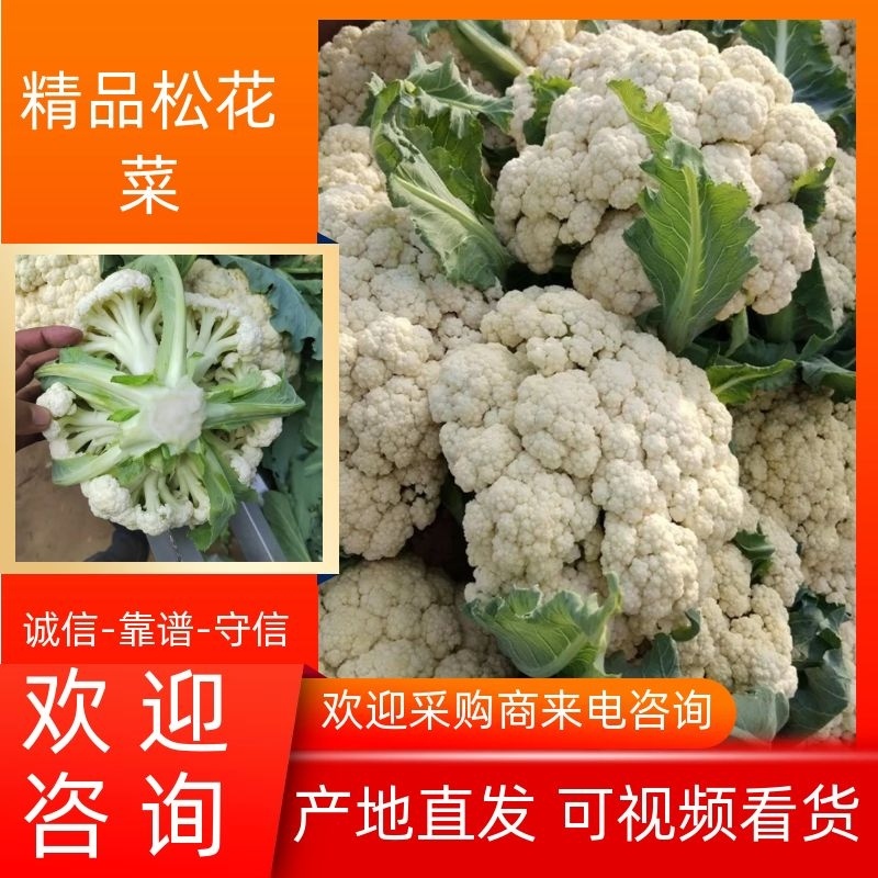 【好货】花菜精品松花菜一手货源可实地看货欢迎咨询