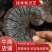 野生紫灵芝，广西原生态林下野生灵芝第二代可线上支付