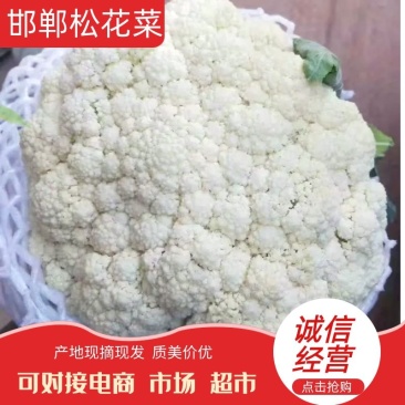 【荐】菜花花菜松花菜河北松花菜物美价廉销量高走货快热卖中