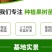 桃树果苗嫁接地栽新品种桃树苗南方北方种可嫁接多品种桃