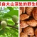 桃树果苗嫁接地栽新品种桃树苗南方北方种可嫁接多品种桃