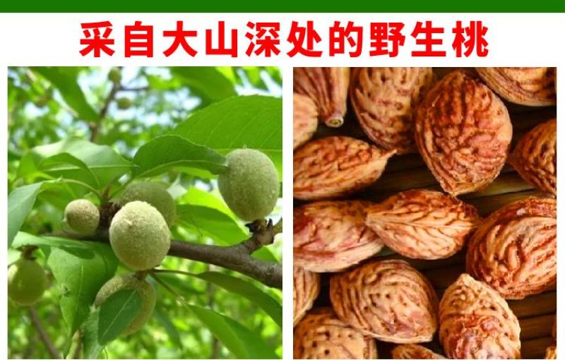 桃树果苗嫁接地栽新品种桃树苗南方北方种可嫁接多品种桃