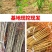 桃树果苗嫁接地栽新品种桃树苗南方北方种可嫁接多品种桃