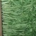 【视频拿茼蒿】小叶茼蒿江苏淮安茼蒿基地直供市场商超电联优惠