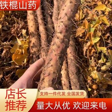 正宗温县垆土铁棍山药货源充足一件代发，超市社团量大从优