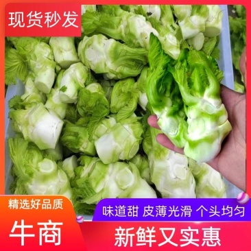 儿菜。净儿。毛儿菜。连儿带母精品儿大心小心