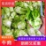 儿菜。净儿。毛儿菜。连儿带母精品儿大心小心