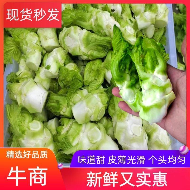 儿菜。净儿。毛儿菜。连儿带母精品儿大心小心