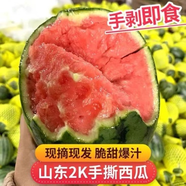 山东潍坊2K小糖丸2k小吊瓜2K小西瓜牛奶小爆瓜冰糖籽
