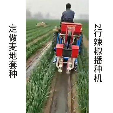 麦地套种辣椒播种机朝天椒铺膜播种机2行4行播种机拖拉机带