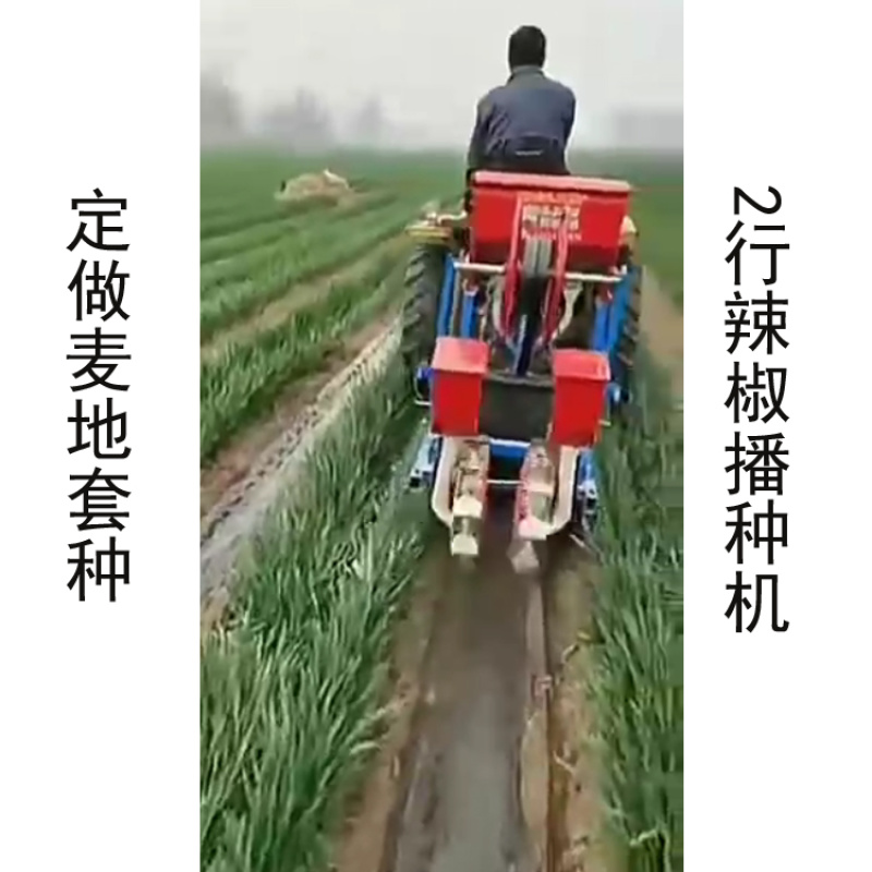 麦地套种辣椒播种机朝天椒铺膜播种机2行4行播种机拖拉机带