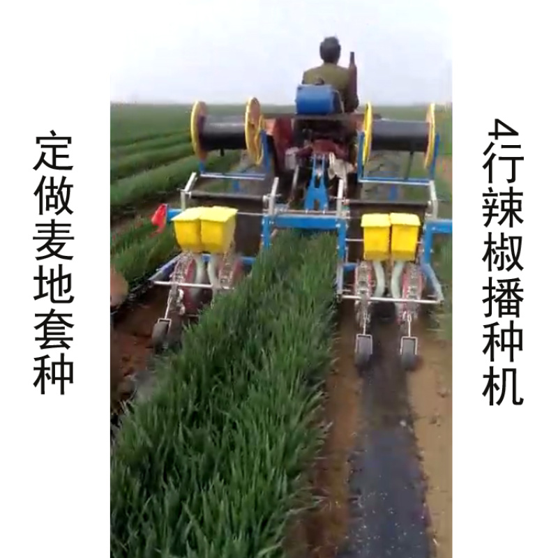 麦地套种辣椒播种机朝天椒铺膜播种机2行4行播种机拖拉机带