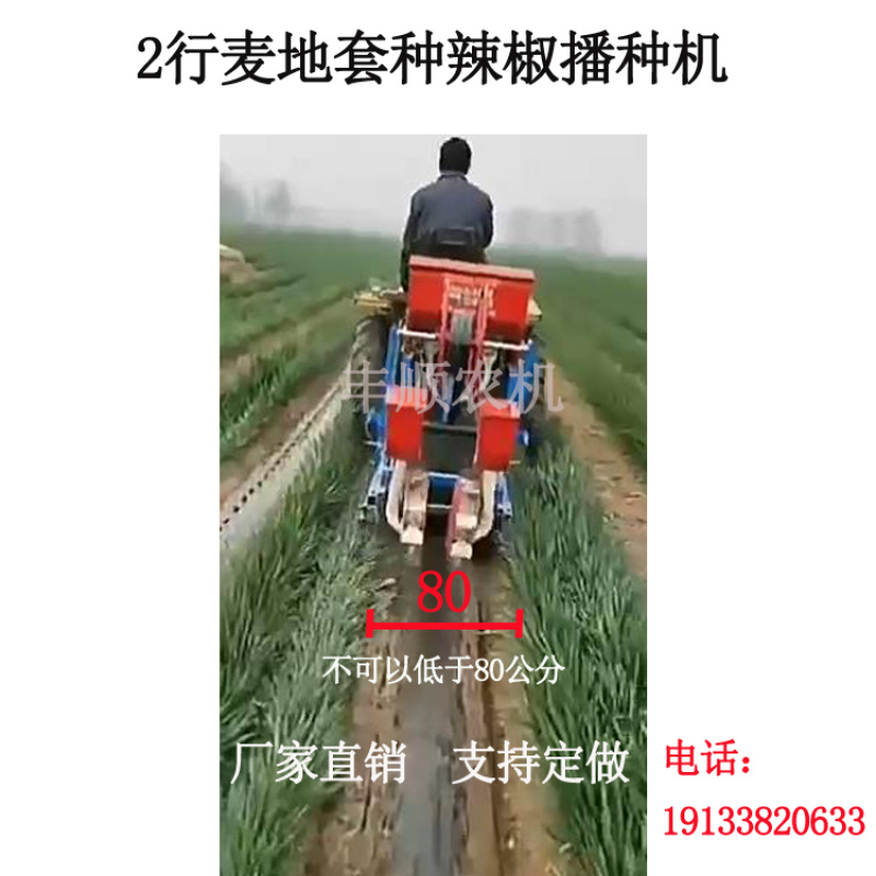 麦地套种辣椒播种机朝天椒铺膜播种机2行4行播种机拖拉机带