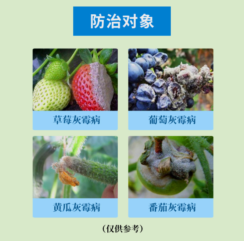35%40%异菌脲腐霉利黄瓜番茄辣椒灰霉病早疫病杀菌剂